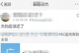 新和为什么选择专业追讨公司来处理您的债务纠纷？